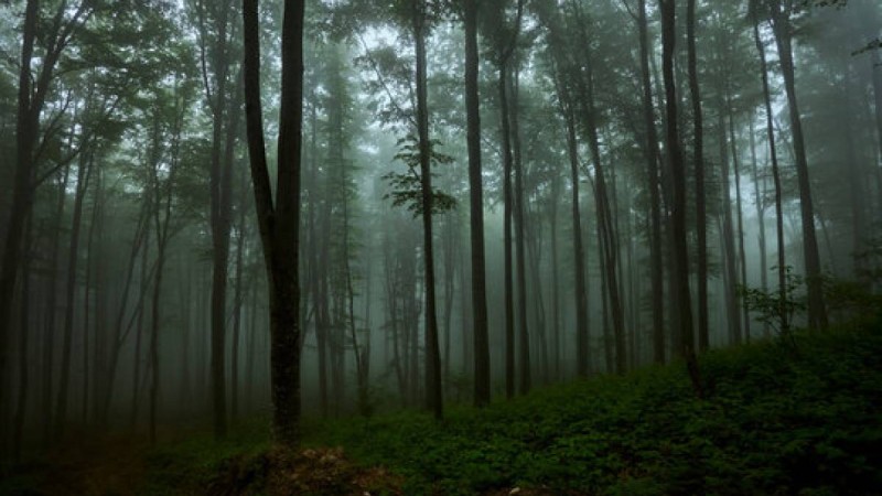 Алматы облысында бір отбасының 6 адамы жоғалып кеткен