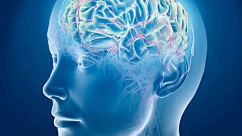 Қартайғанда ақыл-ойды сақтаудың қарапайым әдісі анықталды - Қазақстан жаңалықтары