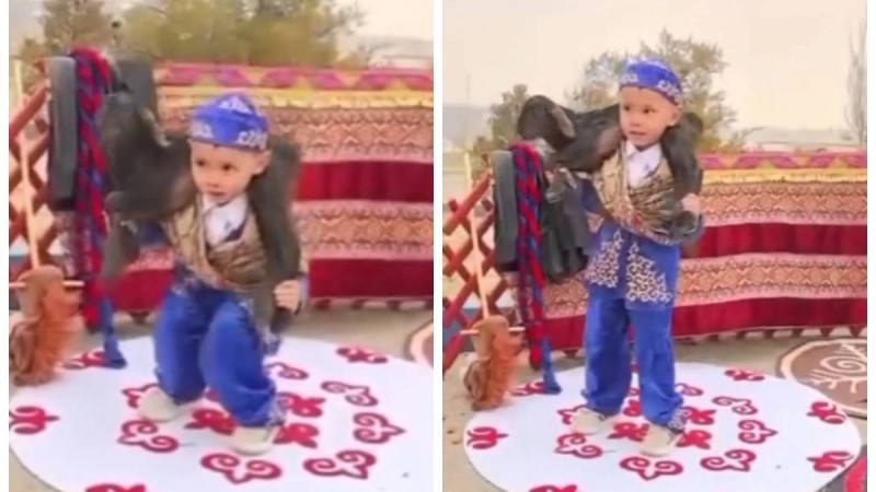 “Болашақ палуан”: Маңғыстау облысында қозыны 30 рет көтеріп тұрған 4 жасар бүлдіршін жұртты тәнті етті (видео)