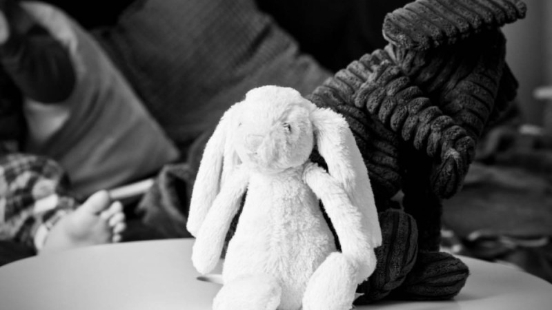 Фактчекинг: Рудныйдағы егіздердің өліміне есірткі себеп пе?