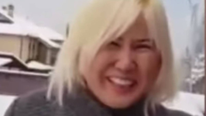 Алматыда Қазақстанның еңбек сіңірген мұғалімінің қызы аяусыз соққыға жығылды - Қазақстан жаңалықтары