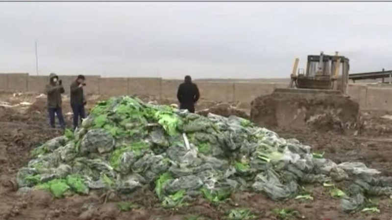 Шымкентте Ираннан әкелінген зарарланған көкеністерді сатпақ болған - Қазақстан жаңалықтары