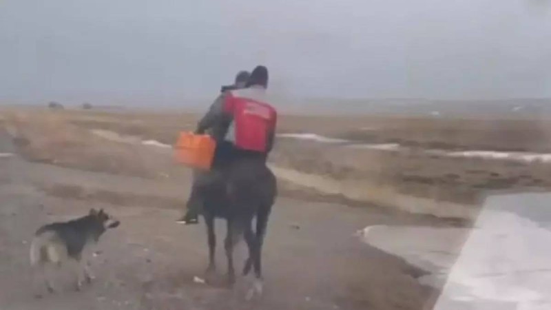 Жетісуда фельдшер жедел жәрдем шақырған науқасқа атпен жеткен (видео)