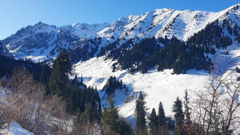 Алматы тауларында жоғалған ер адам өлі күйінде табылды