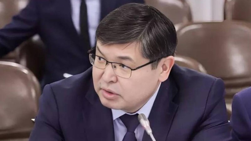 “Бәрібір ештеңе түсінбейсіздер": Жаңа министр өз декларациясын жария ету туралы айтты