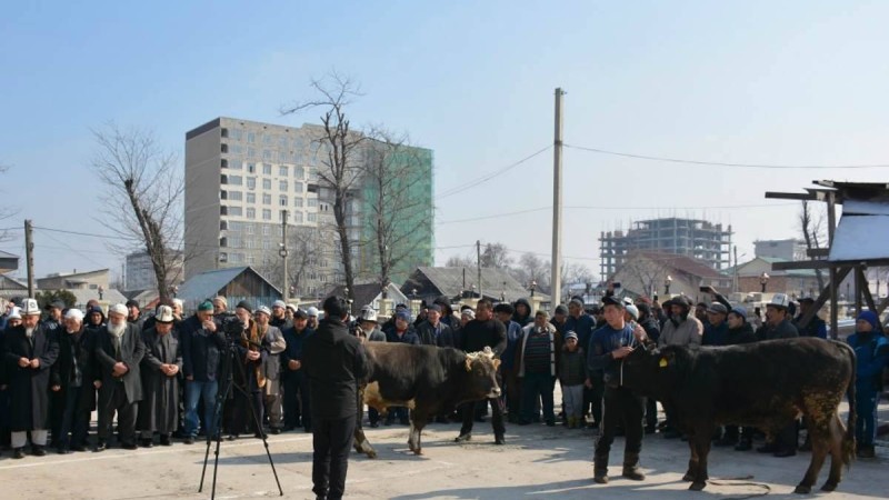 Қырғызстан мүфтияты коронавирусқа қарсы құрбандық шалды - Қазақстан жаңалықтары