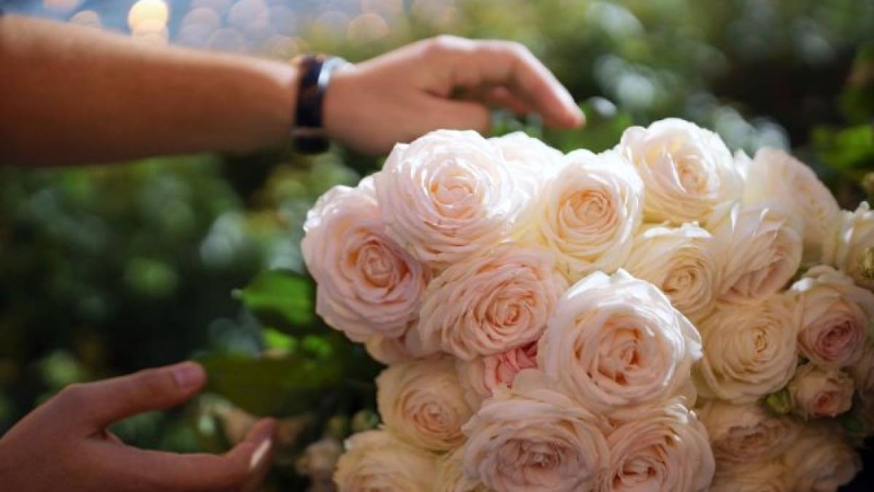 қазақстандық депутаттар сүйіктісіне қандай сыйлық береді