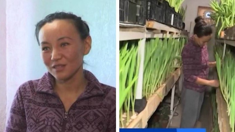 ШҚО тұрғыны үйінің бір бөлмесінде 12 мың түп гүл өсіріп отыр - Қазақстан жаңалықтары