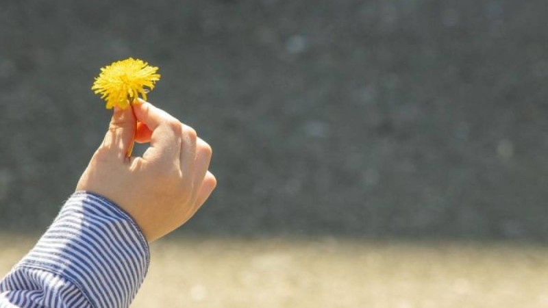 желіде қызу талқыланған суреттегі жігіт үйіне оралды