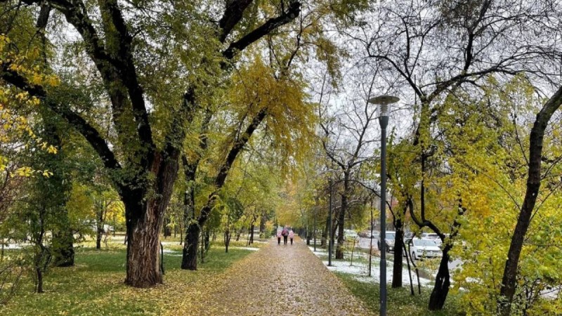 Алматы қаласының 1-7 қараша аралығына арналған ауа райы болжамы