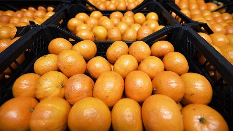 Қазақстан Қытайдан жеміс әкелуді тоқтатты