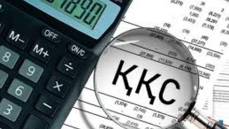 Қазақстандағы қандай салалар ҚҚС-дан босатылады?