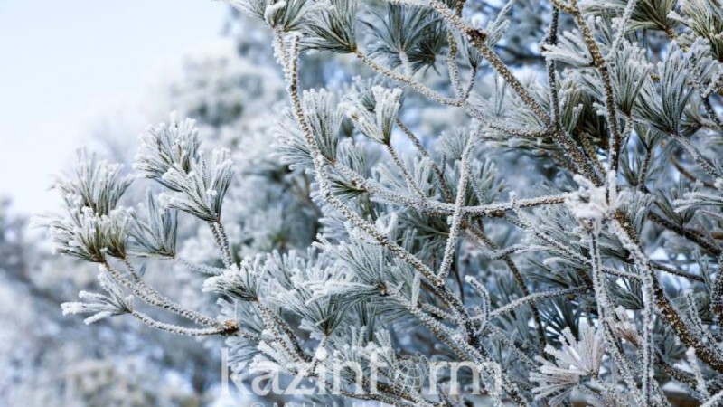 Жаңа 2021 жылға арналған құттықтау