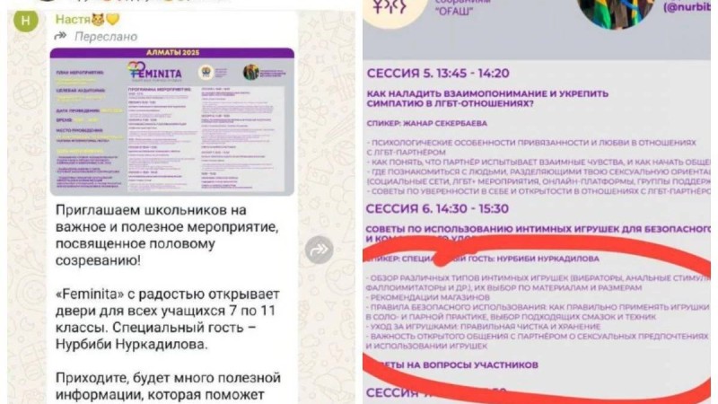 "Оқушыларға секс ойыншықтарын қолдануды үйретпек": Желіде “Феминита" ұйымына қатысты тағы да дау туды