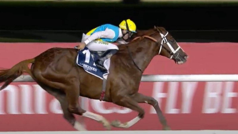 Дубайдағы бәйге - Кабирхан тағы топ жарды