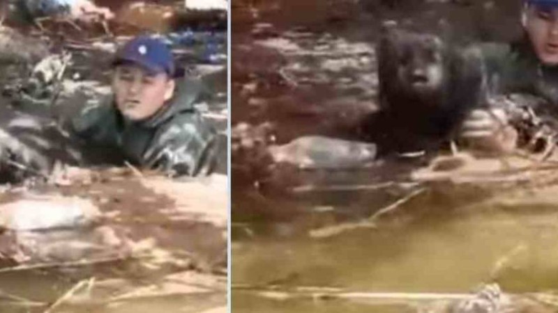 Түркістан облысында суға батқан итті құтқарған сүңгуірші көпшіліктің жүрегін елжіретті (видео) - Қазақстан жаңалықтары
