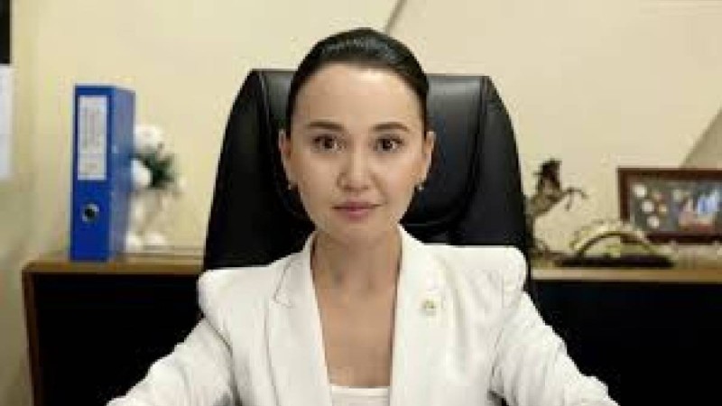 “Мүгедек балаларға арналған 22 млн теңгені өзі жұмсаған“. Перизат Қайратқа қатысты жаңа істің мән-жайы