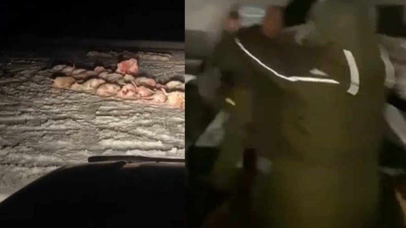 Ұлытауда ауыл жігіттерінің Охотзоопром қызметкерлерімен төбелесі үлкен дауға ұласты