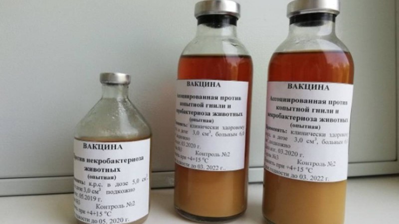 Вакцина формуласын ұрламақ болғандар әшкереленді