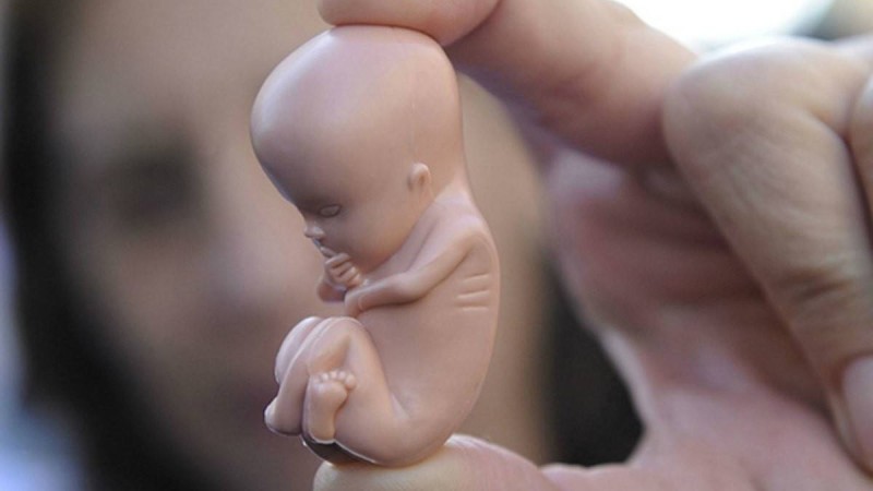 Қазақстанда балаларға үшінші сыныптан бастап жыныстық қатынас туралы айтуды ұсынды - Қазақстан жаңалықтары