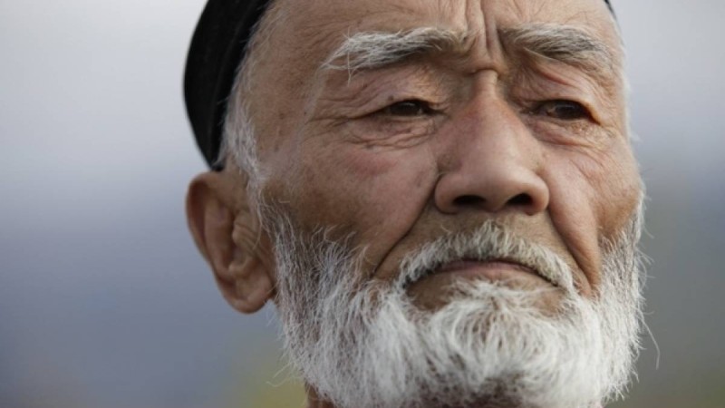 Канадалық профессор: Қазақтардың қарияларын ешқашан жалғызсыратпайтынына риза болдым