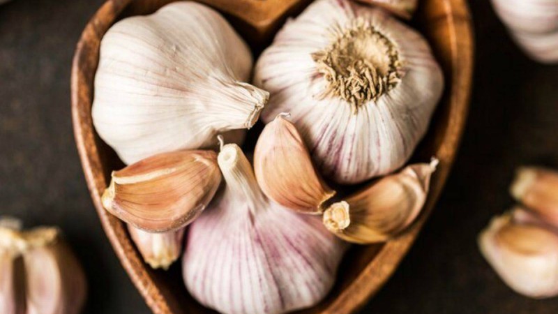 Коронавирусқа қарсы сарымсақ: Министр WhatsApp арқылы таралған ақпаратқа жауап берді - Қазақстан жаңалықтары