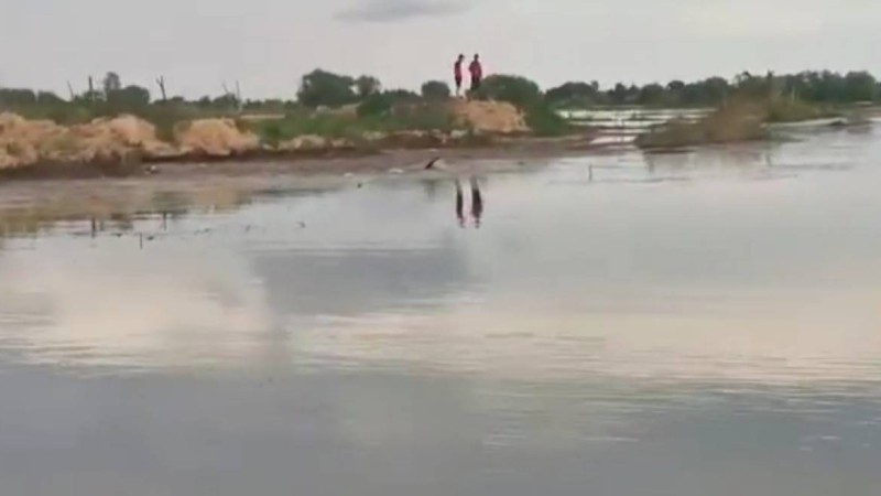 Мақтаарал ауданында екі жігіт судың ортасында қалып қойған - Қазақстан жаңалықтары