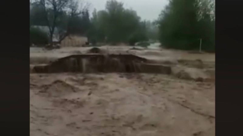 Түркістан облысындағы тағы бір аудан су астында қала жаздады - Қазақстан жаңалықтары