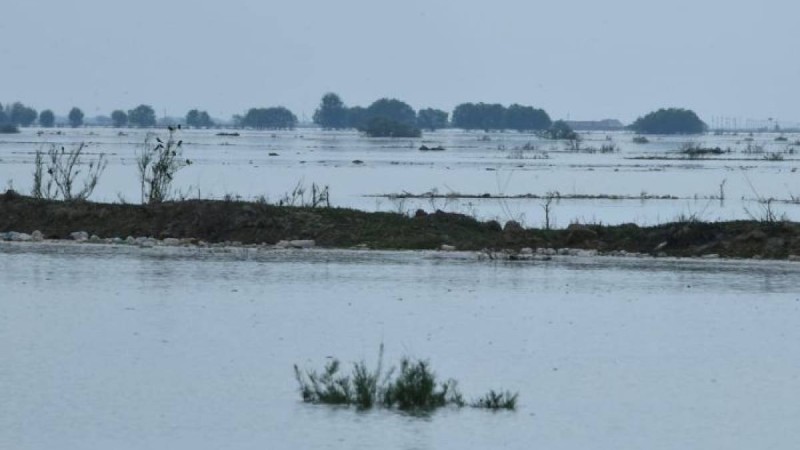 Түркістан облысының бірде-бір тұрғыны назардан тыс қалмайды – Тоқаев