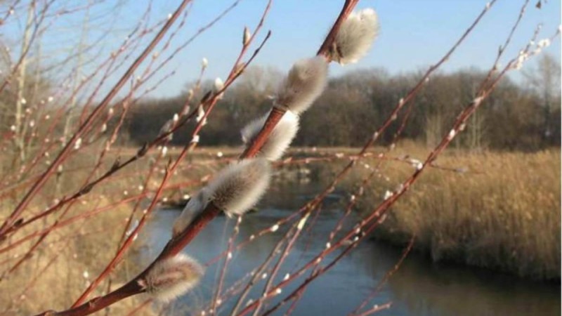 2020 жылдың наурыз айына арналған ауа райы болжамы - Қазақстан жаңалықтары