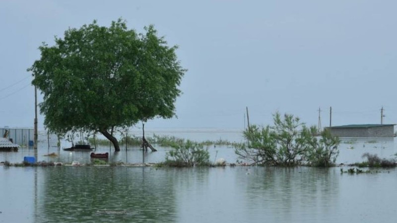Өзбекстан Түркістан облысына көмектесуге келісті 