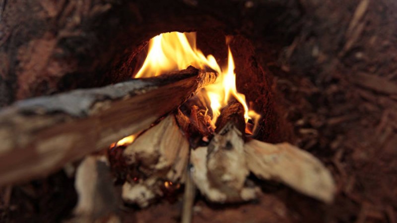 Талғарда төрт балаға иіс тиіп қалды