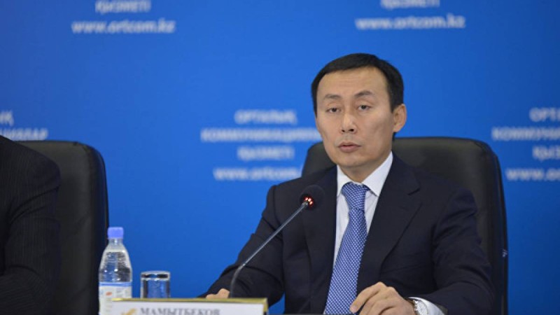 "Жоққа шығару дұрыс емес": экс-министр Назарбаеваның мәлімдемесімен келіспеді