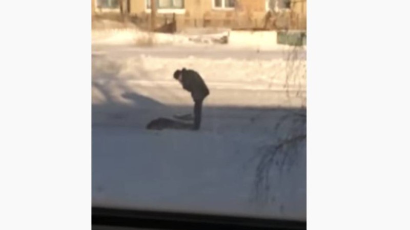 Қостанай облысында бойжеткенді трактор қағып өлтірді (видео)