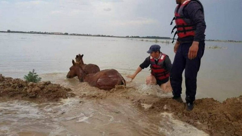 404 млн теңге: Су тасқынан зардап шеккен мақтаралдықтардың шығыны есептелді