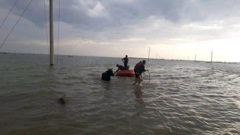 Мақтаралдағы ауыл 100% су астына кеткен