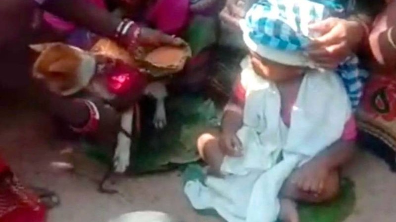 Үндістанда бір жасар бала итпен үйленді - Қазақстан жаңалықтары