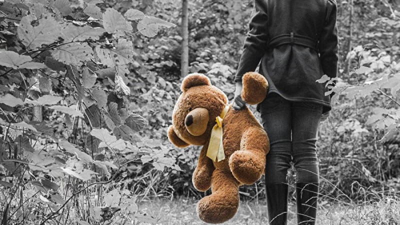 Тараздағы сұмдық: оқушы қыздың зорлануына қатысты тың деректер шықты