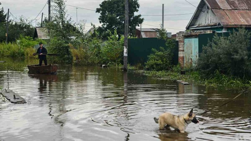 Экология министрлігі су тасқыны болуы мүмкін жеті аймақты атады - Қазақстан жаңалықтары