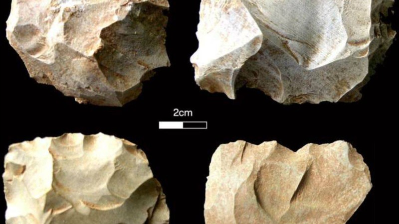 Адамзаттың толықтай жойылуы туралы шындық ашылды - Қазақстан жаңалықтары