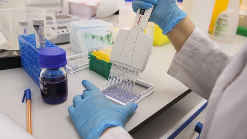 COVID-19-дың ауыр түрінде өкпе ғана емес жүрек, бүйрек, жүйке жүйелері зақымданады – дәрігер