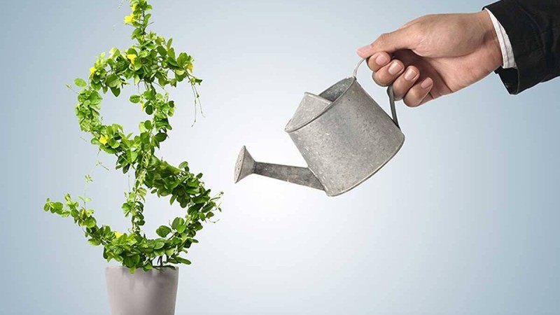 Кәсібіңізді өрлететін 7 қадам - Қазақстан жаңалықтары