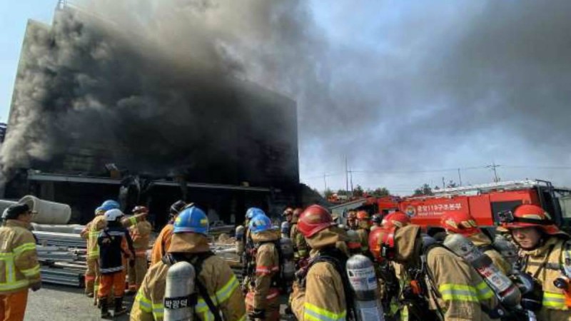 Оңтүстік Кореяда екі қазақстандық өрттен көз жұмды - Қазақстан жаңалықтары