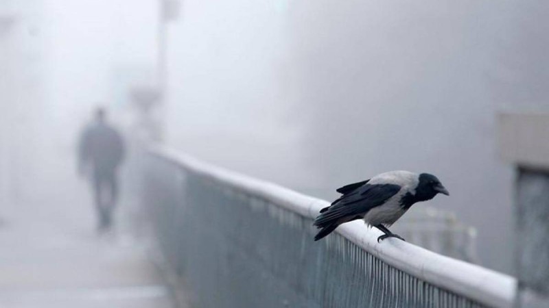 Елімізде алты облыс аумағында ауа райына байланысты ескерту жарияланды