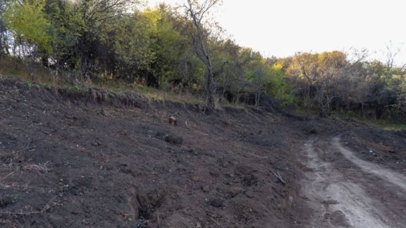 Министрлік жерді тиімсіз игеретін шаруалардың "қара тізімін" жариялайды