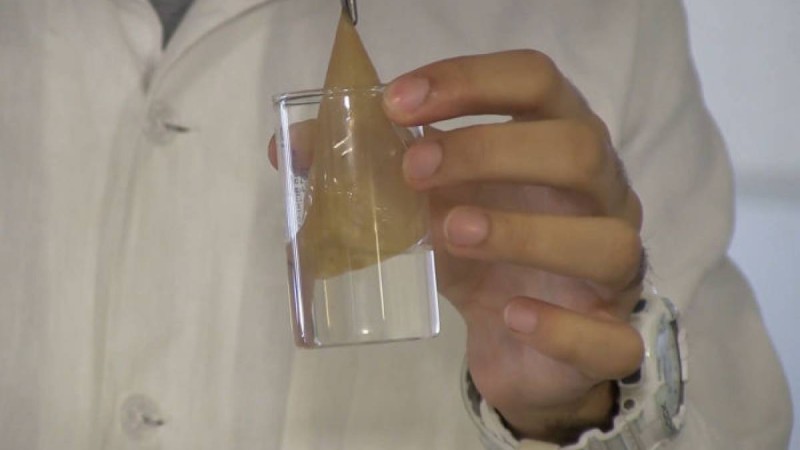 Ғалымдар жеуге болатын ыдысты ойлап тапты – видео