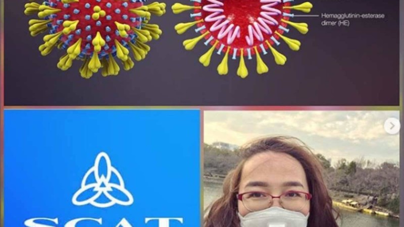 "Олар сынақ нәтижелерін қорқынышпен күтуде": Жапониядан келген "Кешью" тобының директоры карантинге жабылды - Қазақстан жаңалықтары