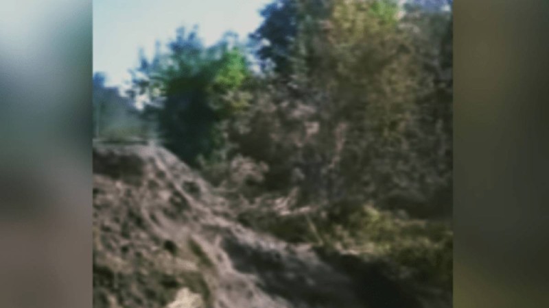 Аммиак төгілді: Солтүстік Қазақстан облысында орман өртеніп, мал қырылды