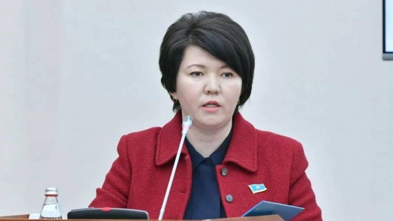 Елге танымал ұстаз Оқу ағарту министріне шұғыл үндеу жасады