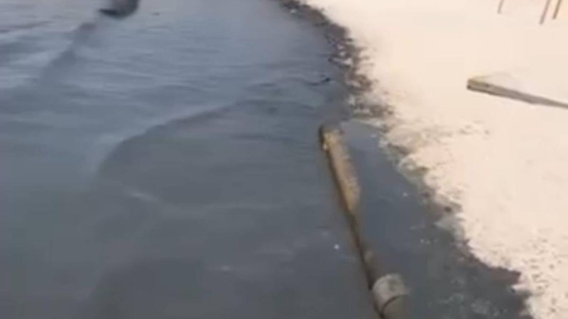 Каспий теңізі қара түске боялды